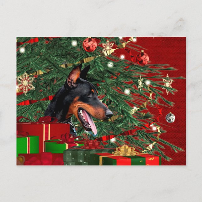 Doberman pinscher Christmas Holiday Postcard (Front)