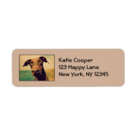 Doberman Pinscher Cute & Adorable With Big Nose
