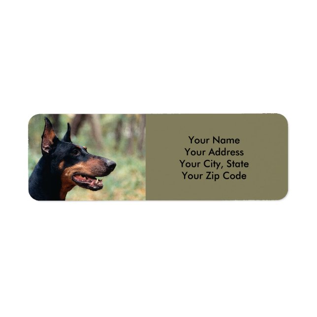 Doberman Pinscher dans les bois (Devant)