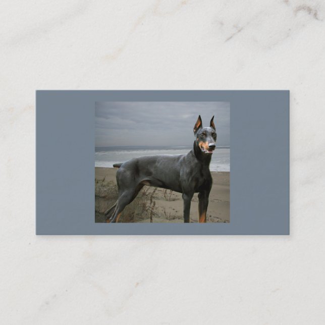 Doberman Pinscher Dog Lover Business Card (Front)