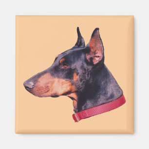 Doberman Pinscher Dog Magnet