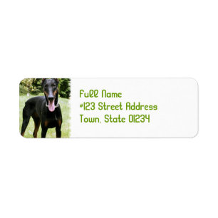 Doberman Pinscher Dog Return Address Label