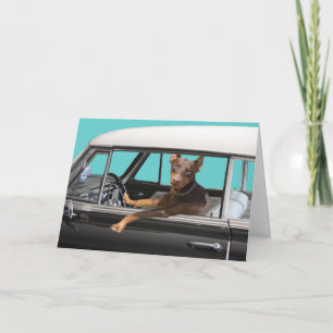Doberman Pinscher Driving Classic Car Card