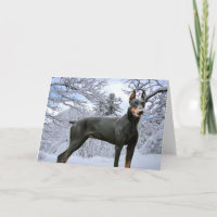 Doberman Pinscher Greeting Card