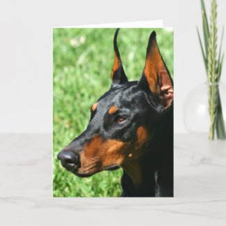 Doberman Pinscher greeting card