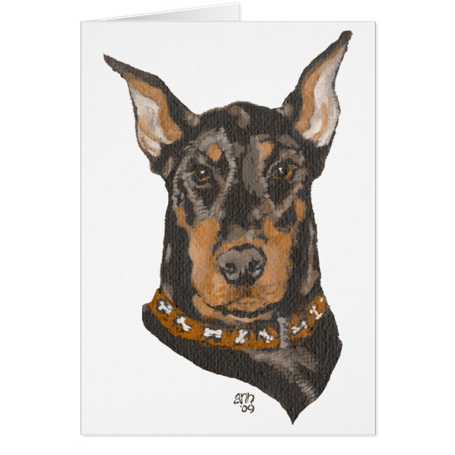 Doberman Pinscher Head Study (Front)