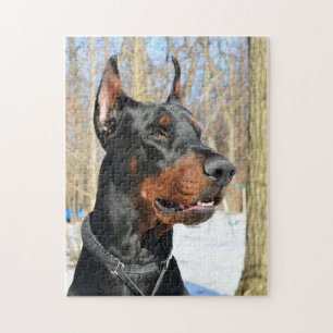 Doberman pinscher in the snow jigsaw puzzle