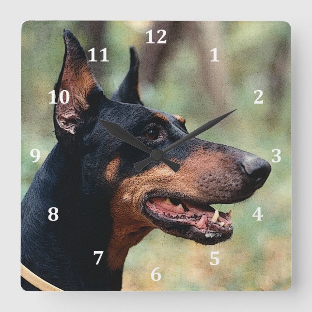 Doberman Pinscher in the Woods Square Wall Clock (Front)
