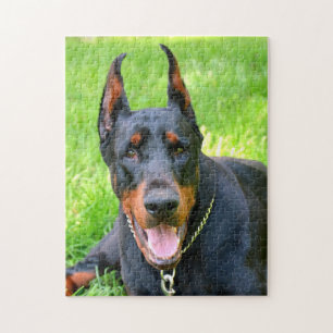 Doberman pinscher jigsaw puzzle