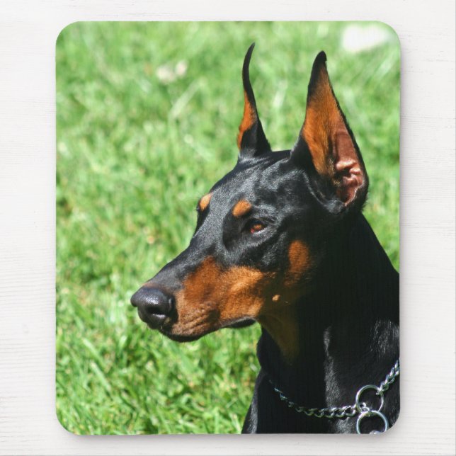 Doberman Pinscher mousepad (Front)