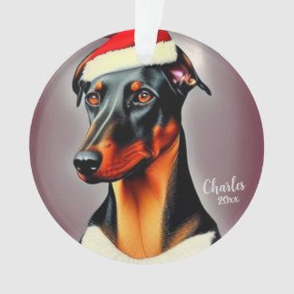 Doberman Pinscher, Père Noël Chien, Noël