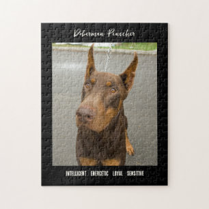 Doberman Pinscher Photo Dog Breed Jigsaw Puzzle