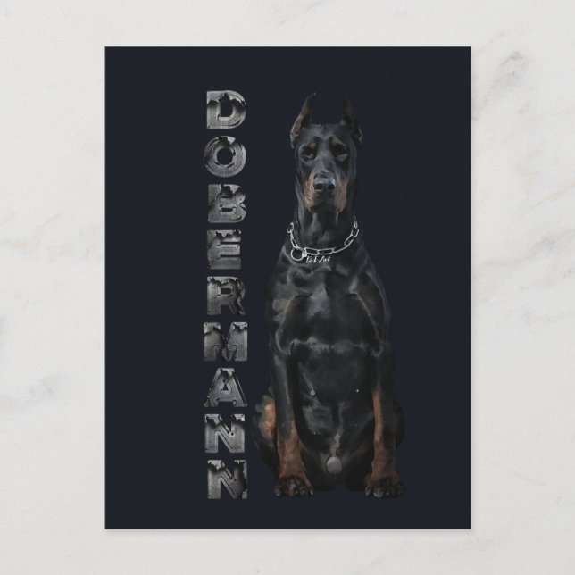 Doberman Pinscher    Postcard (Front)