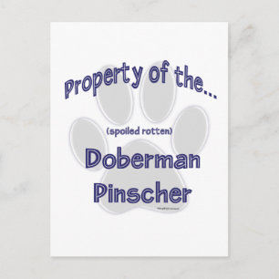 Doberman Pinscher Property Postcard