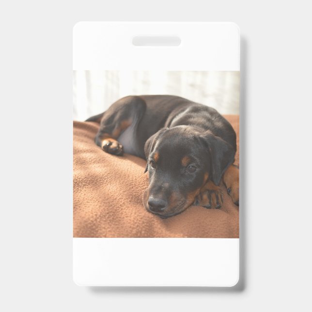 doberman-pinscher-puppy badge (Front)