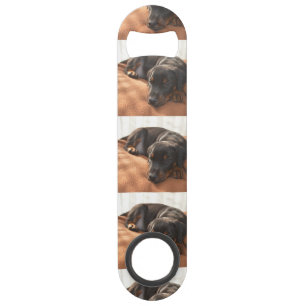 doberman-pinscher-puppy bar key