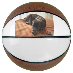 doberman-pinscher-puppy basketball
