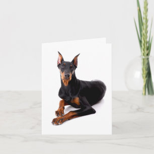 Doberman Pinscher Puppy Dog Blank Notecard / Card