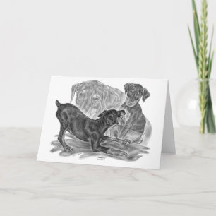 Doberman Pinscher Pups Drawing by Kelli Swan Card