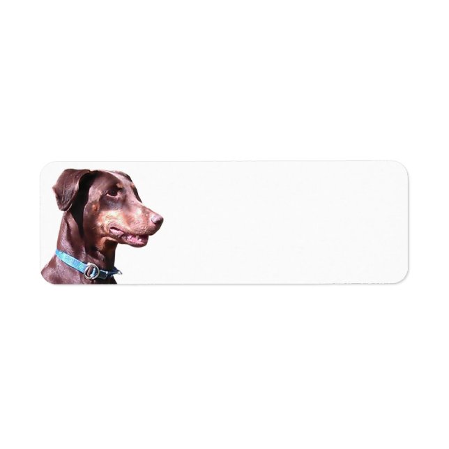 Doberman Pinscher Red (Front)