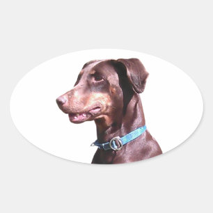 Doberman Pinscher Red Oval Sticker