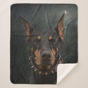 Doberman Pinscher   Sherpa Blanket
