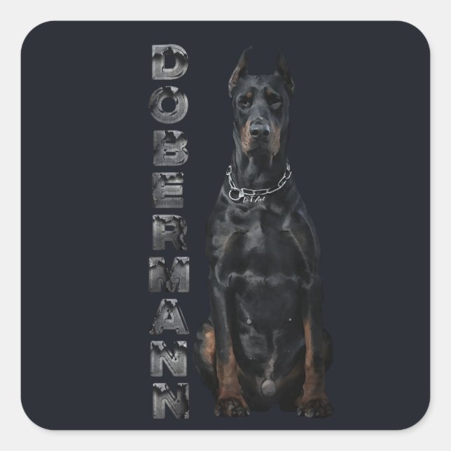 Doberman Pinscher   Square Sticker (Front)