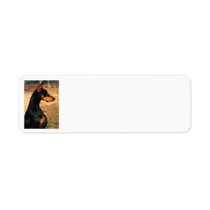 Doberman Profile Address Label (v 9-3)