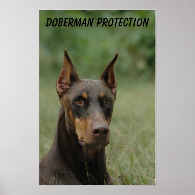 Doberman Protection Poster (Front)