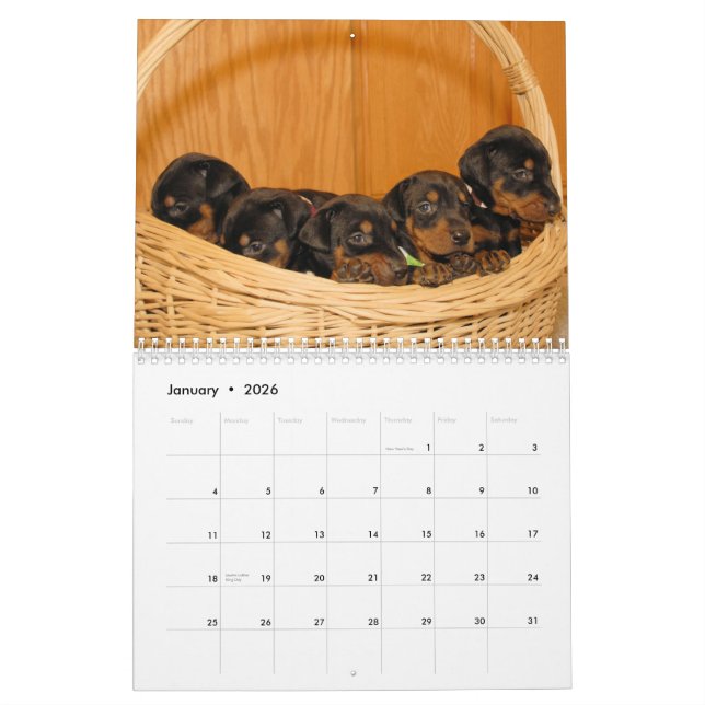 Doberman Puppy Calendar updated 2012 (Jan 2026)