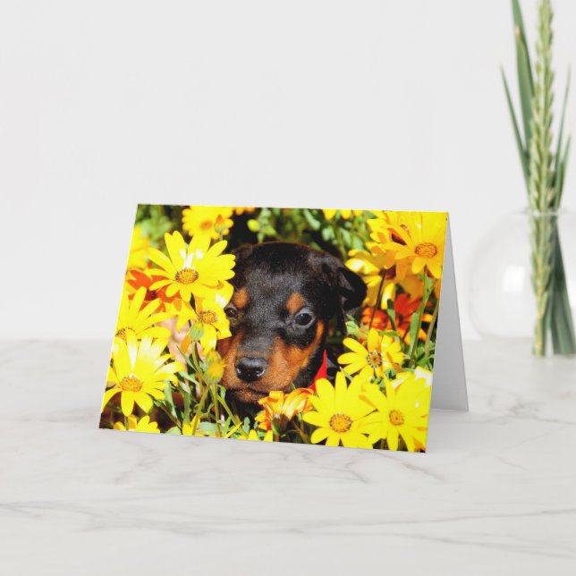 Doberman puppy greeting card (Front)