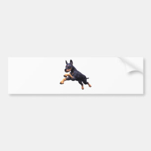 Doberman Puppy Leaping Bumper Sticker