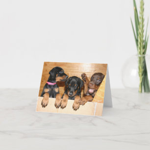 Doberman Puppy Note Card