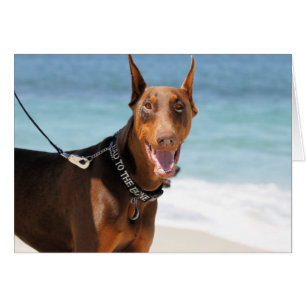 Doberman - Red - Bad to the Bone