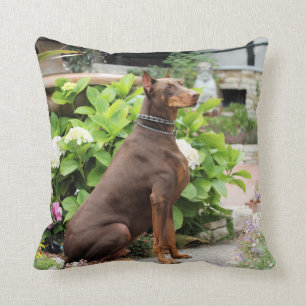 Doberman - Red - Rocky - Carmel Church Garden Throw Pillow