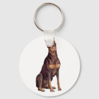 Doberman (red sit)