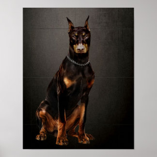 Doberman Reliable Guard Doberman Dog Poster