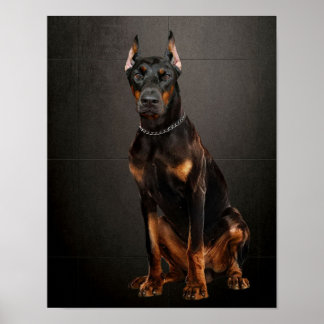 Doberman Reliable Guard Dog Poster