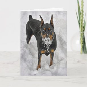 Doberman The Best Joys in Life are Free Thank You Card