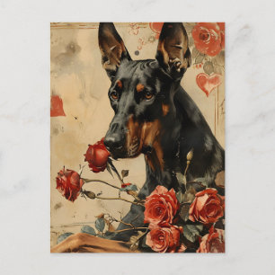 Doberman Vintage Valentine's day  Postcard