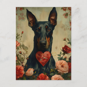 Doberman vintage Valentine's Day  Postcard