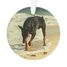 Dobermann à l'image de peinture de plage