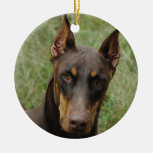 Dobermans Ceramic Ornament