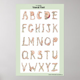 Doc Mitchell's Viseral Font. Poster
