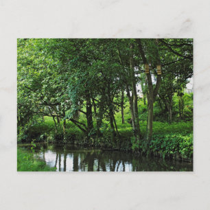 Dock Feeder Canal, Bute Park, Cardiff, Wales. Postcard