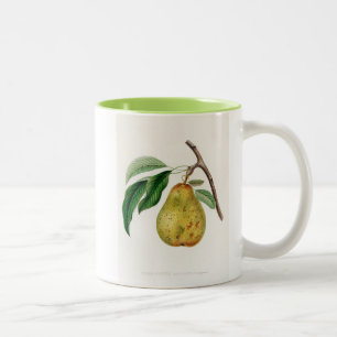 Docteur Bretonneau Pear Mug