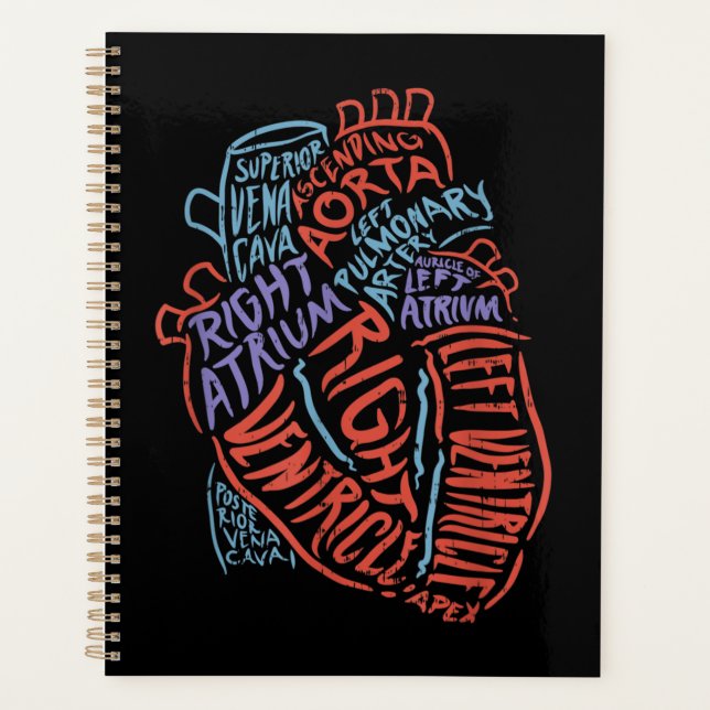 Docteur en anatomie cardiologue Biologie Médicale (Devant)