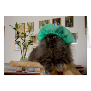 Docteur Romeo