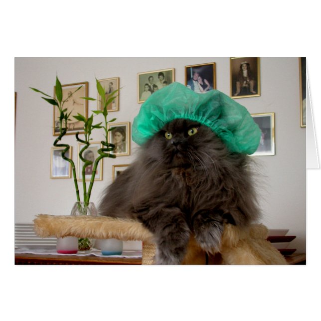 Docteur Romeo (Devant horizontal)