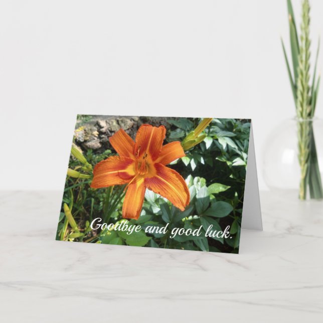 Doctor Goodbye Good Luck Flower Photo Card (Front)